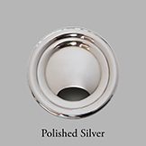 Polished Silver